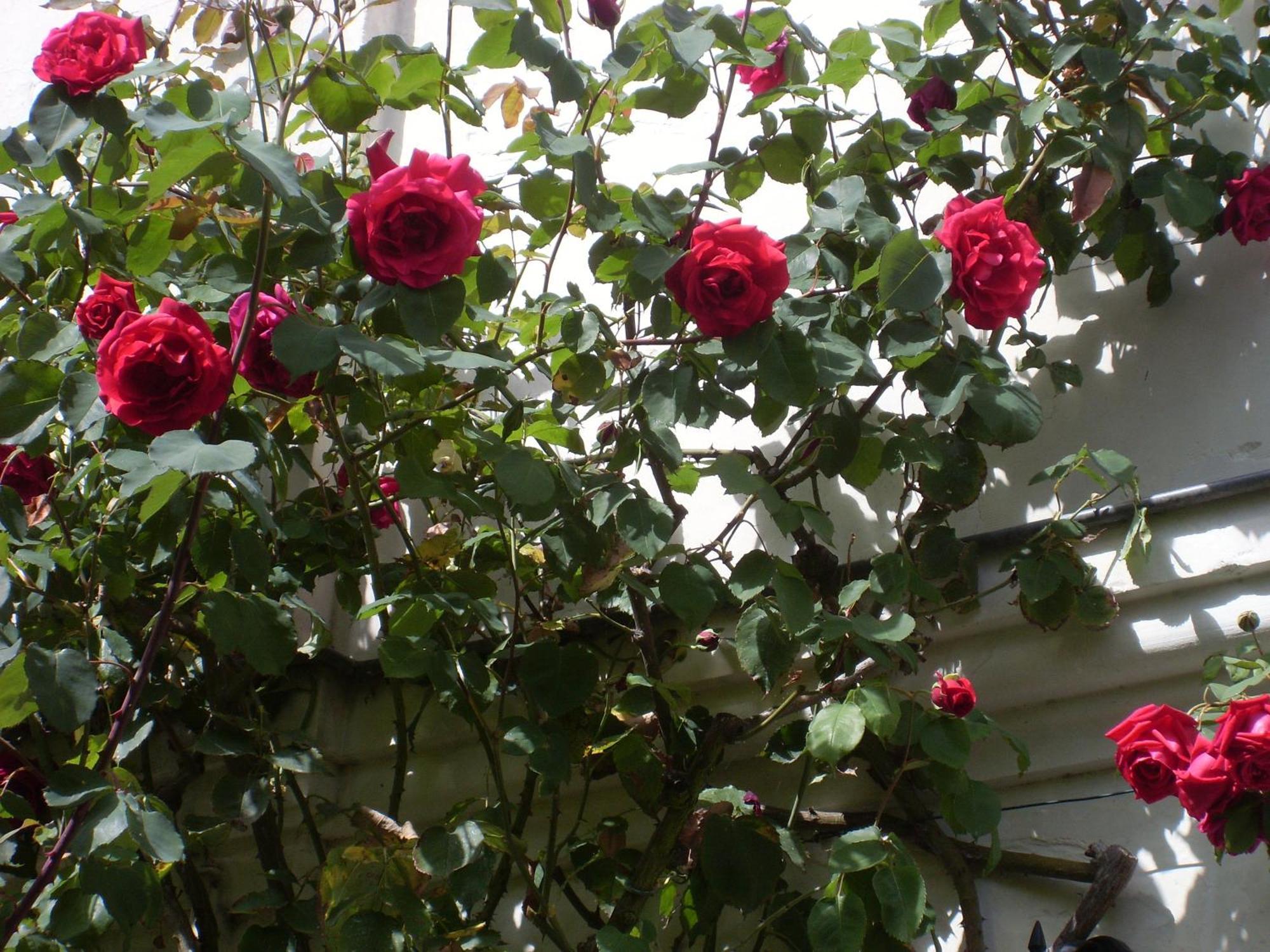 La Heraudiere Bed & Breakfast Tours Rom bilde