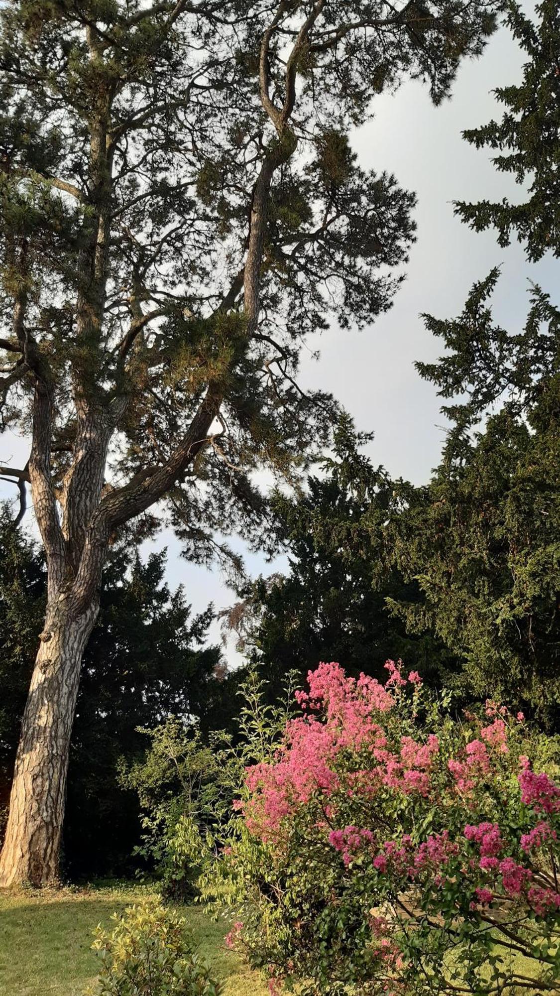 La Heraudiere Bed & Breakfast Tours Eksteriør bilde